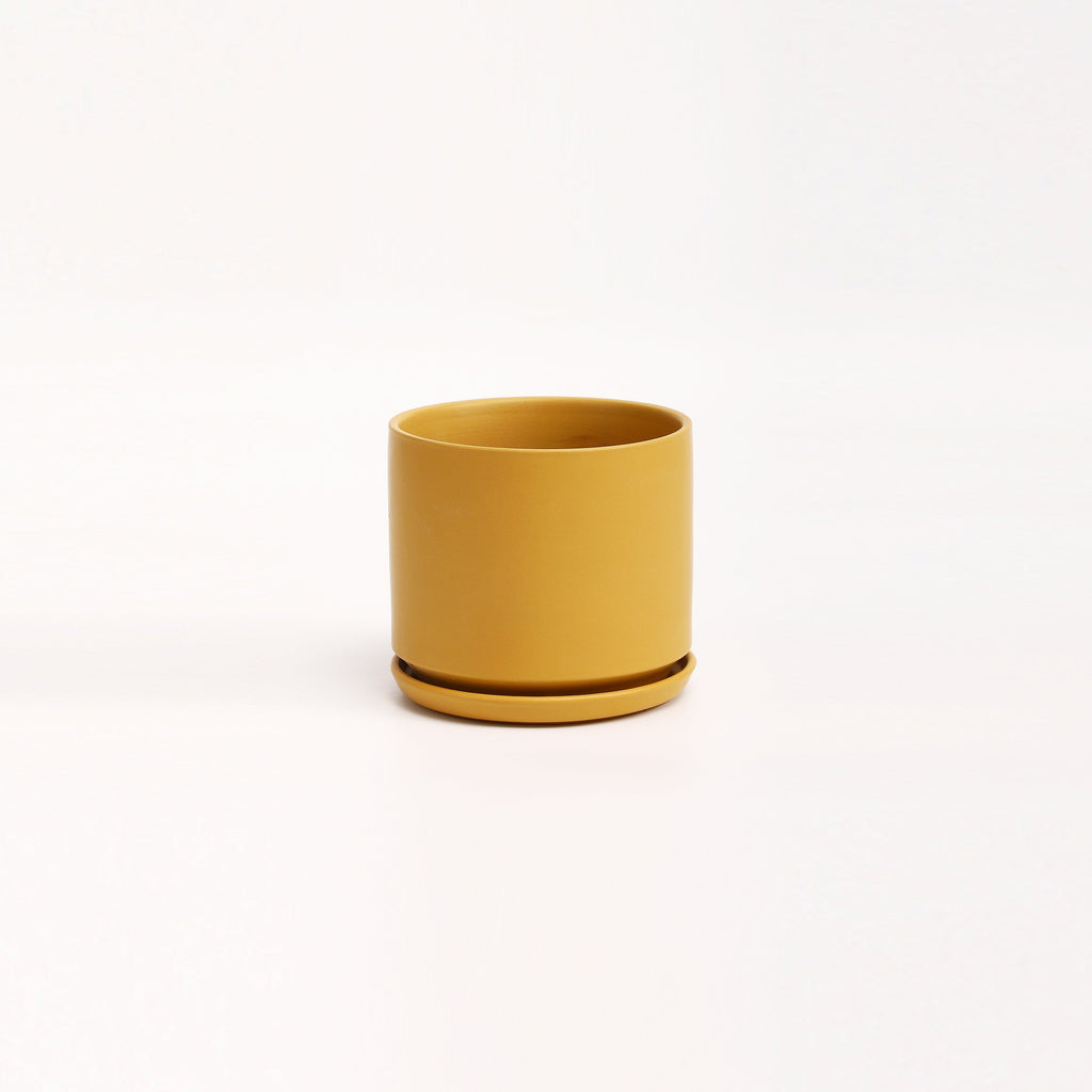 The Ceramic Cylinder Planter with Saucer, 2nd Generation