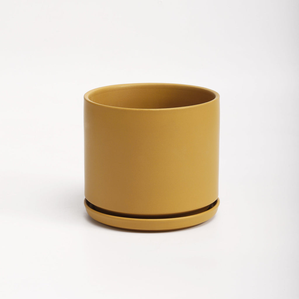 The Ceramic Cylinder Planter with Saucer, 2nd Generation
