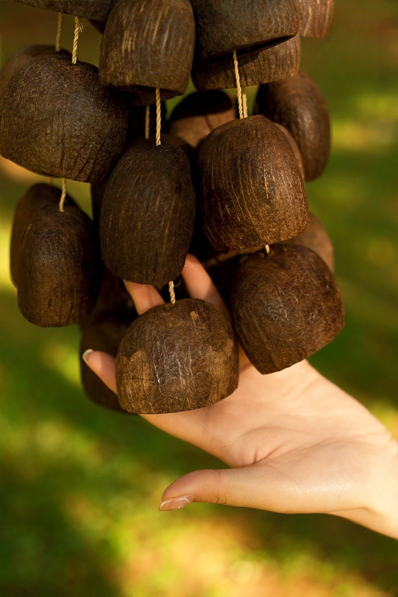 Handmade Salin Water Bellwood Seed Shell